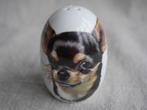 Chihuahua dog egg - shaped, salt