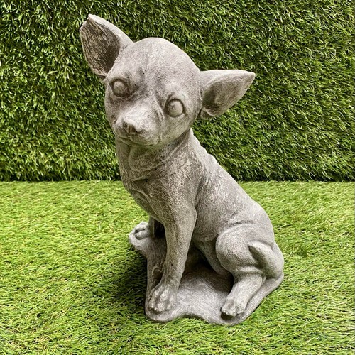 Concrete chihuahua dog - concrete,