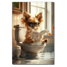 Chihuahua Dog Sitting On Loo