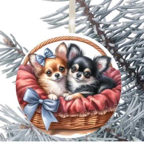 Chihuahua dog hanging - dog,