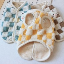 Small Pet Dog Chihuahua Warm