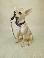 ⭐ Chihuahua Dog Studies 2009