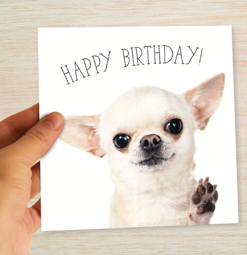 Chihuahua birthday card dog - birthday,