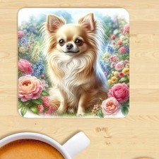 Long Haired Chihuahua Coaster