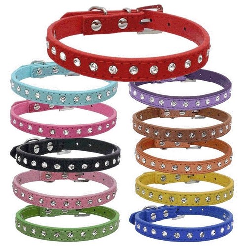 Suede leather dog - suede,