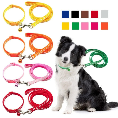 With collar puppy - collar, set