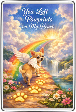 Rainbow Bridge Chihuahua Angel
