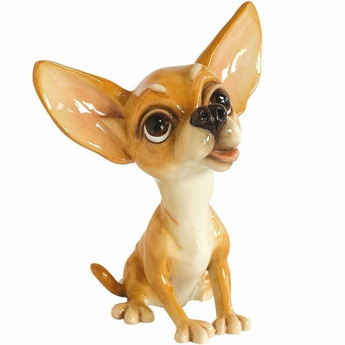Little paws pixie chihuahua - little,