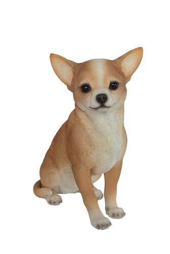 Chihuahua dog lifelike - dog,