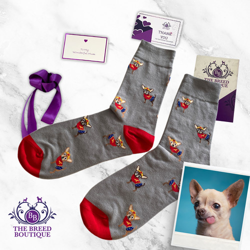 Chihuahua superhero socks - chihuahua,