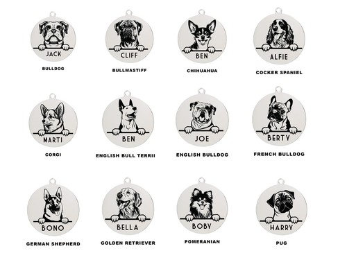 Personalised dog pet tag - tag, 2
