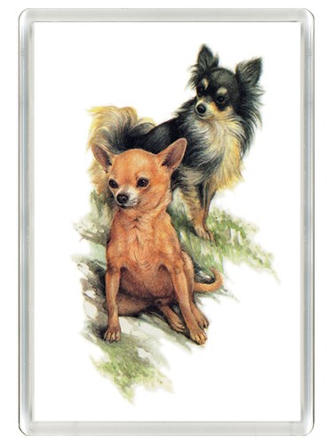 Chihuahua dog fridge - dog,