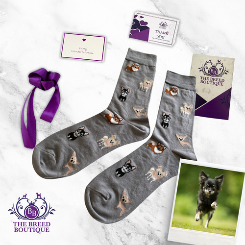 Chihuahua socks unisex one - unisex,