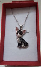 Beautiful Crystal Chihuahua