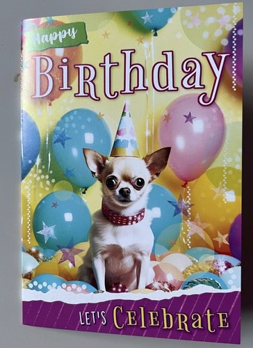 Cute chihuahua dog - cute, party